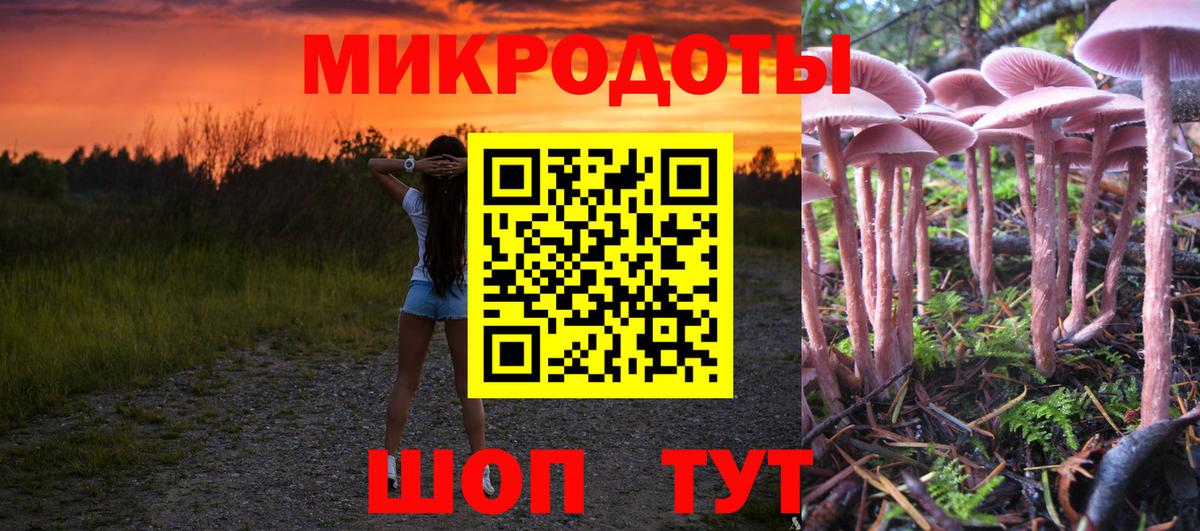 Галлюциногенные грибы Psilocybe Светлоград